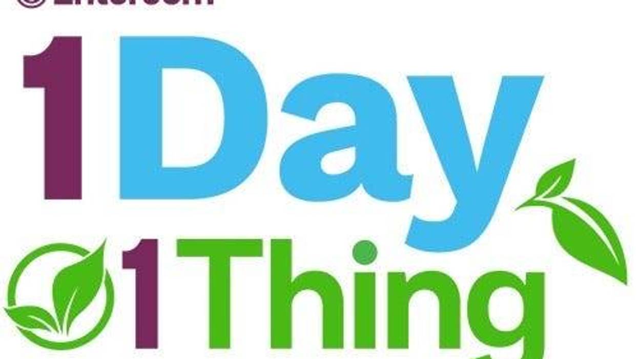 1 Day 1 Thing