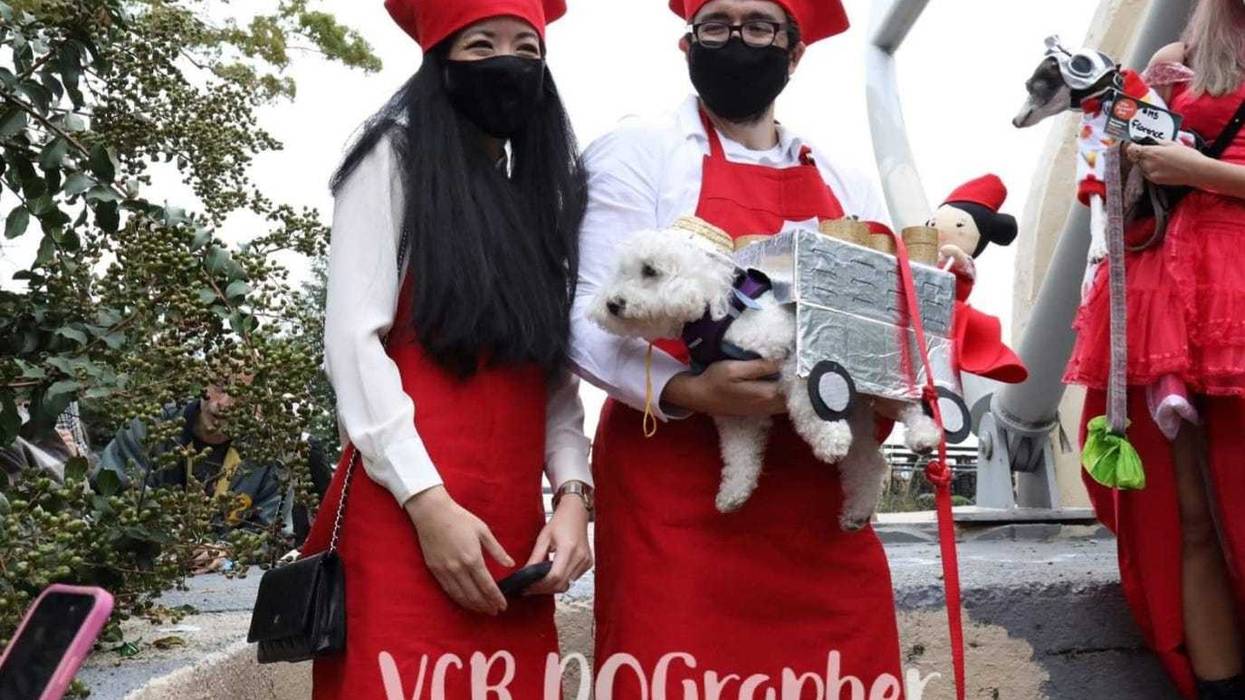 1010 WINS' Susan Richard with Bark Obama at the 31st Annual Tompkins Square Halloween Dog Parade