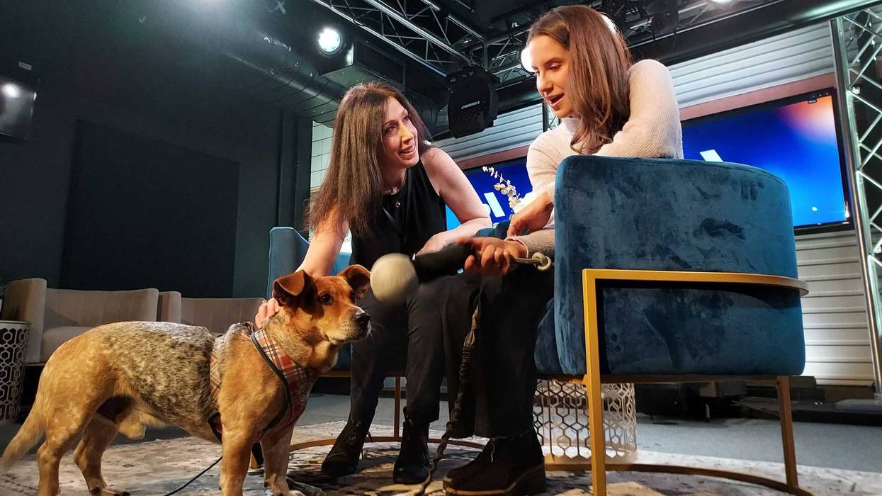 1010 WINS with Dog Mayor Simon