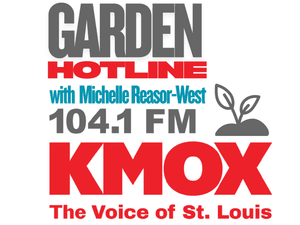 Tornado Damage Clean up with Grassroots Redeeming Love and KMOX
