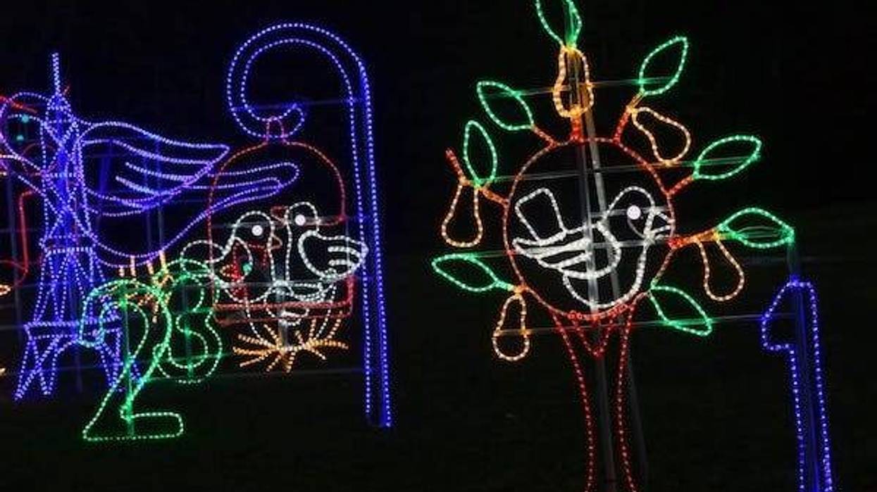 12 Days of Christmas lights display