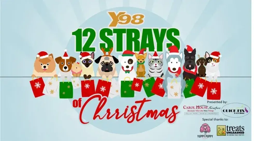 12 Strays of Christmas