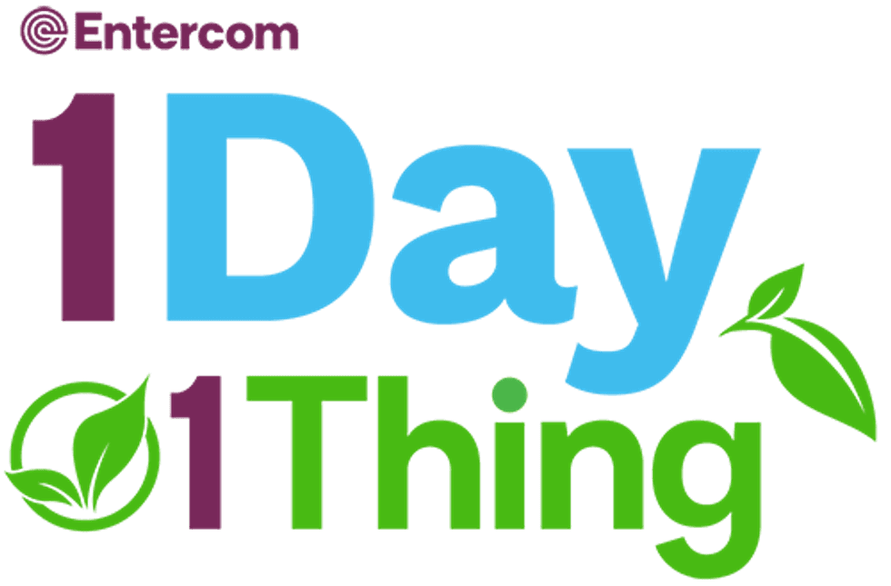 1Day1Thing