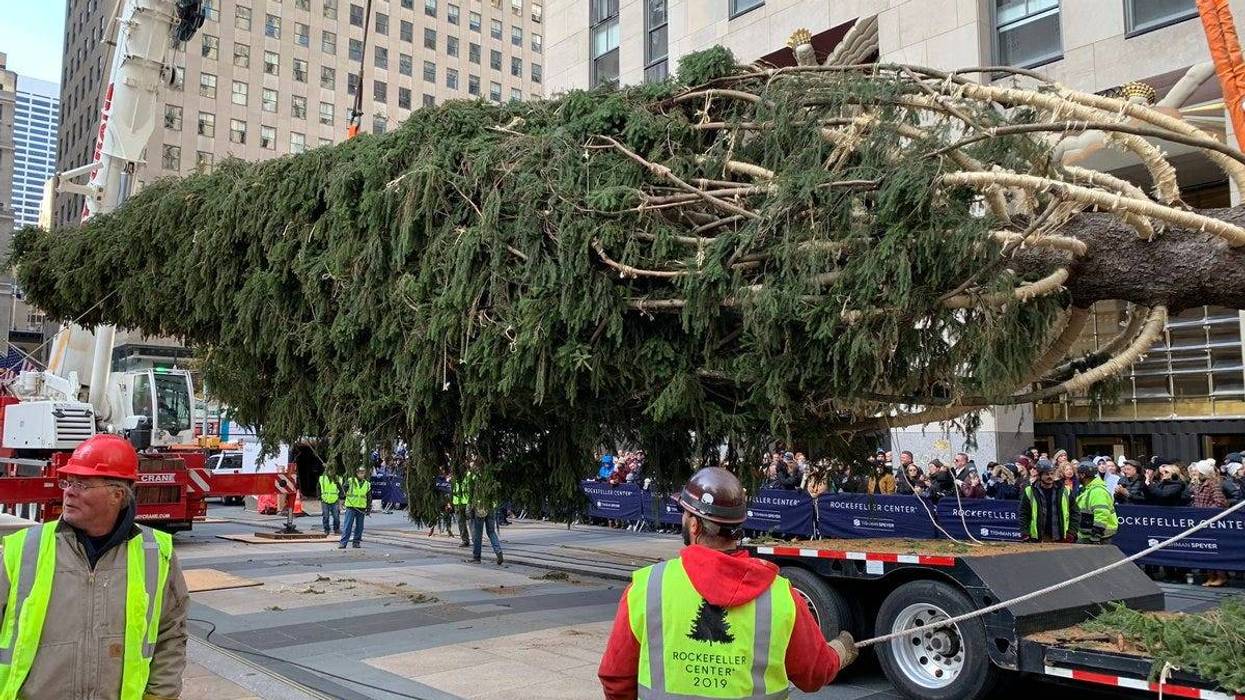 2019 Rockefeller Christmas tree