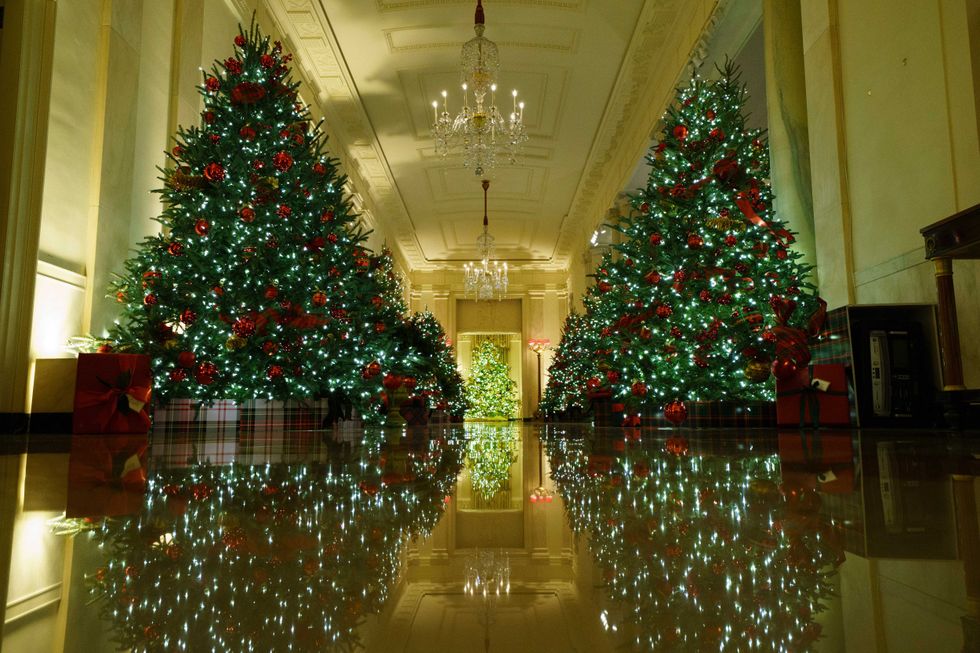 2020 White House Christmas decorations