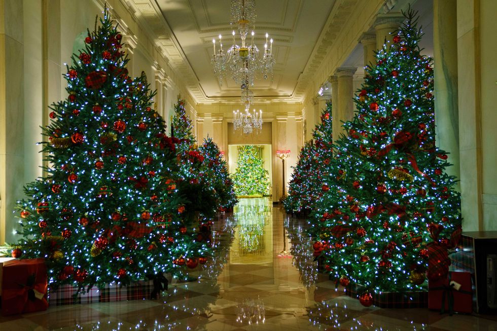2020 White House Christmas decorations