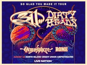 311 and Dirty Heads