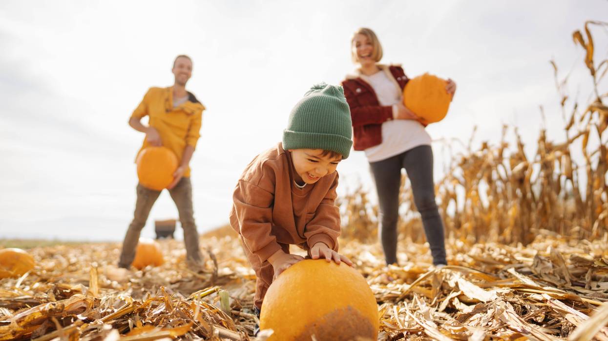 5 Fall Activities in South Jersey You Don’t Want to Miss | Bee Inspired