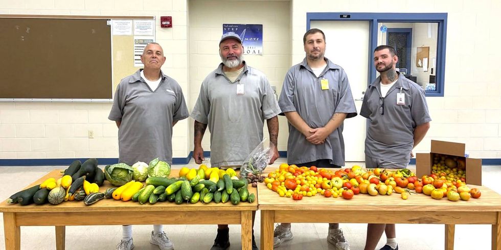 80 pounds of vegetables just harvested from the Restorative Justice garden at Fulton Reception & Diagnostic Center the week of July 20th.