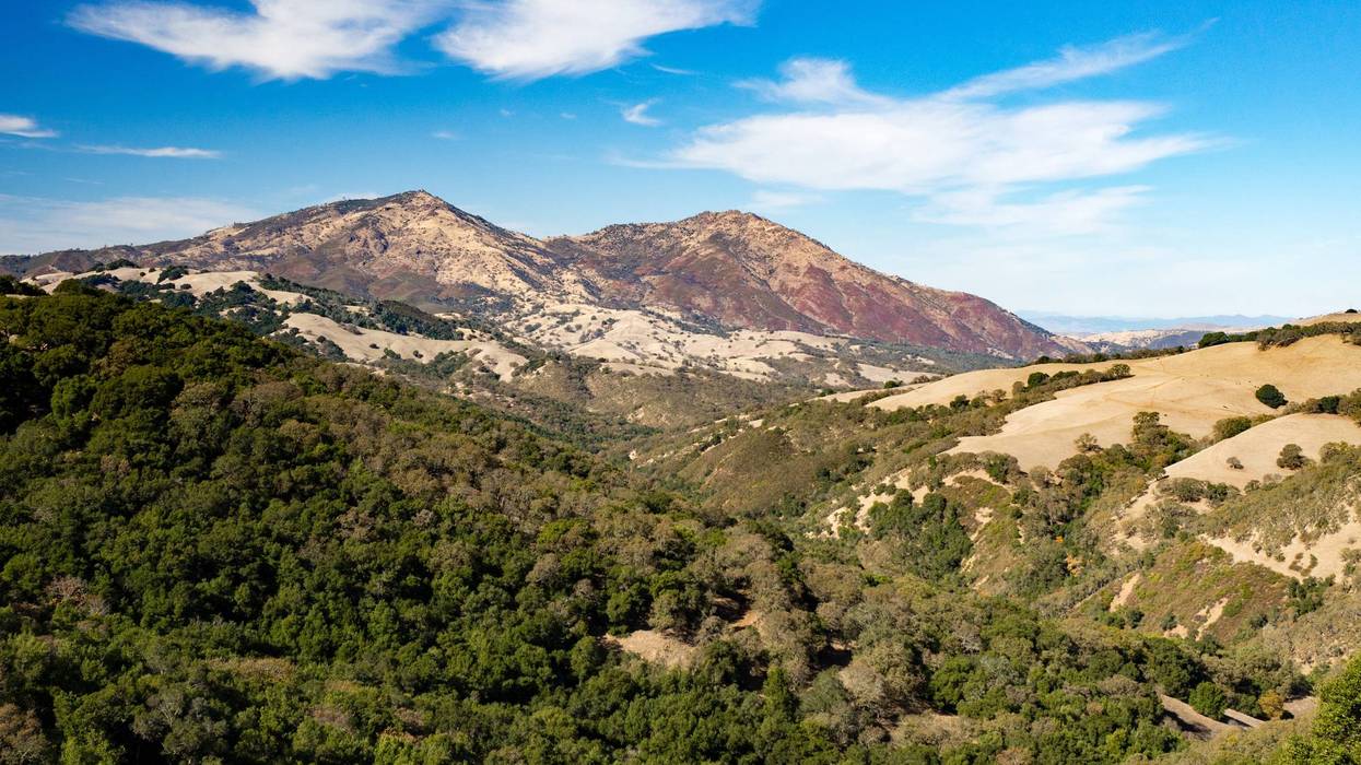 A 19-year-old man was rescued after he fell 30-60 feet off Sentinel Rock on Mount Diablo on Monday afternoon.