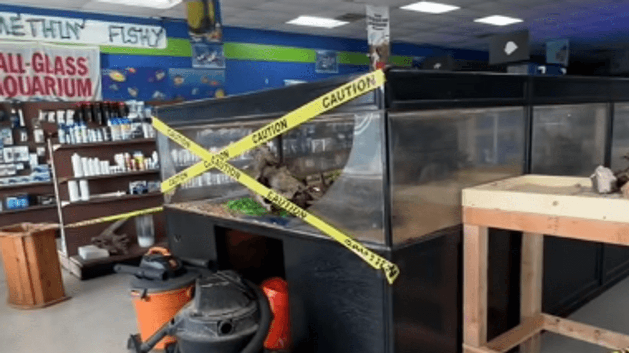 Fish Tank Floods Store, Kills Fish And Causes Concerns For Small Business