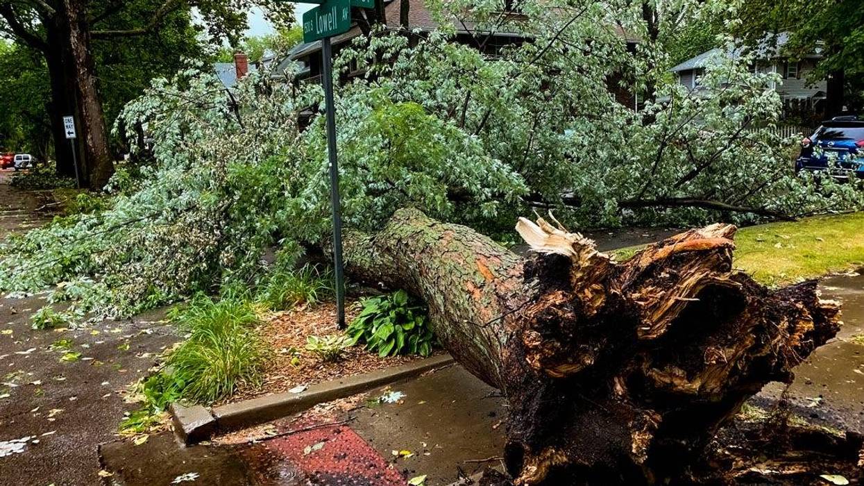 A 2023 storm caused extensive home damage in parts of Springfield, including trees falling on homes.