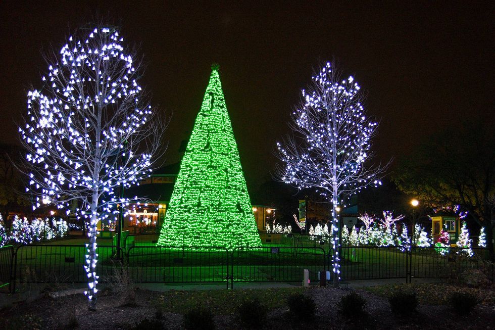 A 41-foot-tall tree, located inside Brookfield Zoo