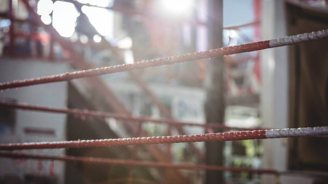 A 74-year-old woman from the Lansing are was left with a sprained ankle after a wrestler and a spectator got into an altercation at an event in Southgate on Saturday.