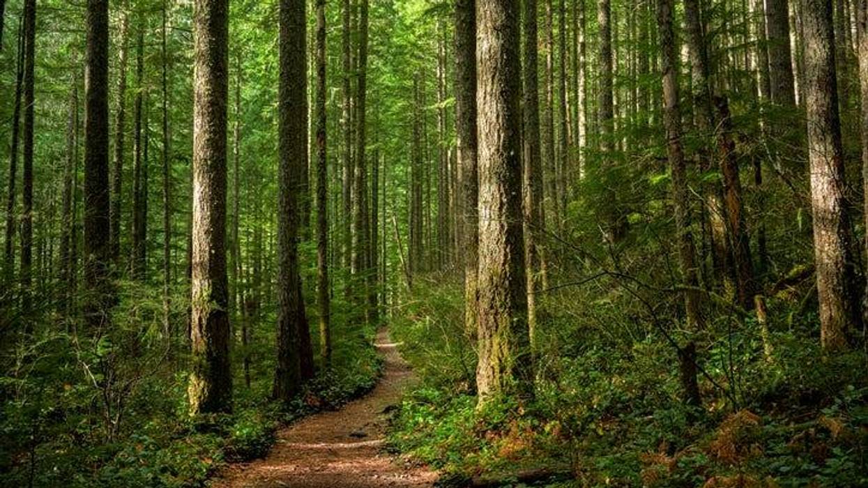 A 75-year-old hunter found stuck in mud in Michigan