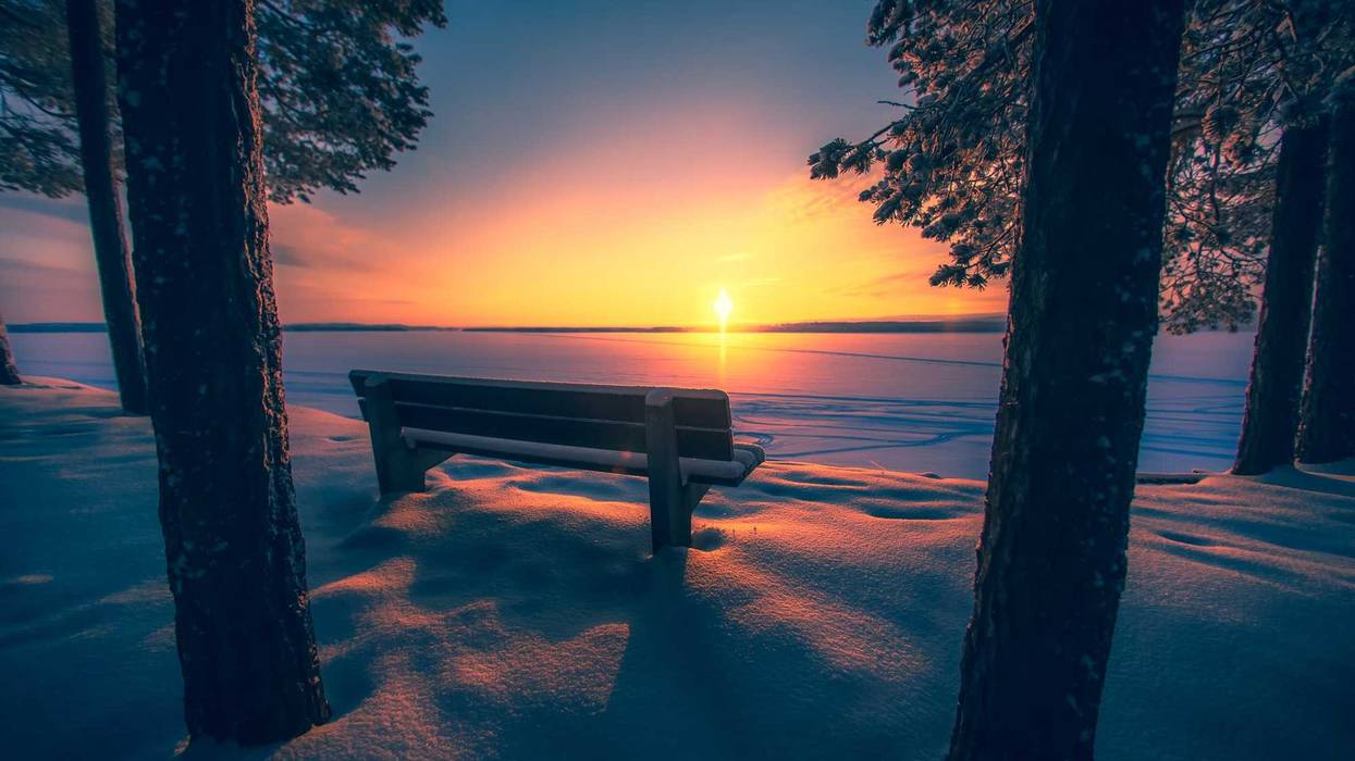 A bench and winter sunset