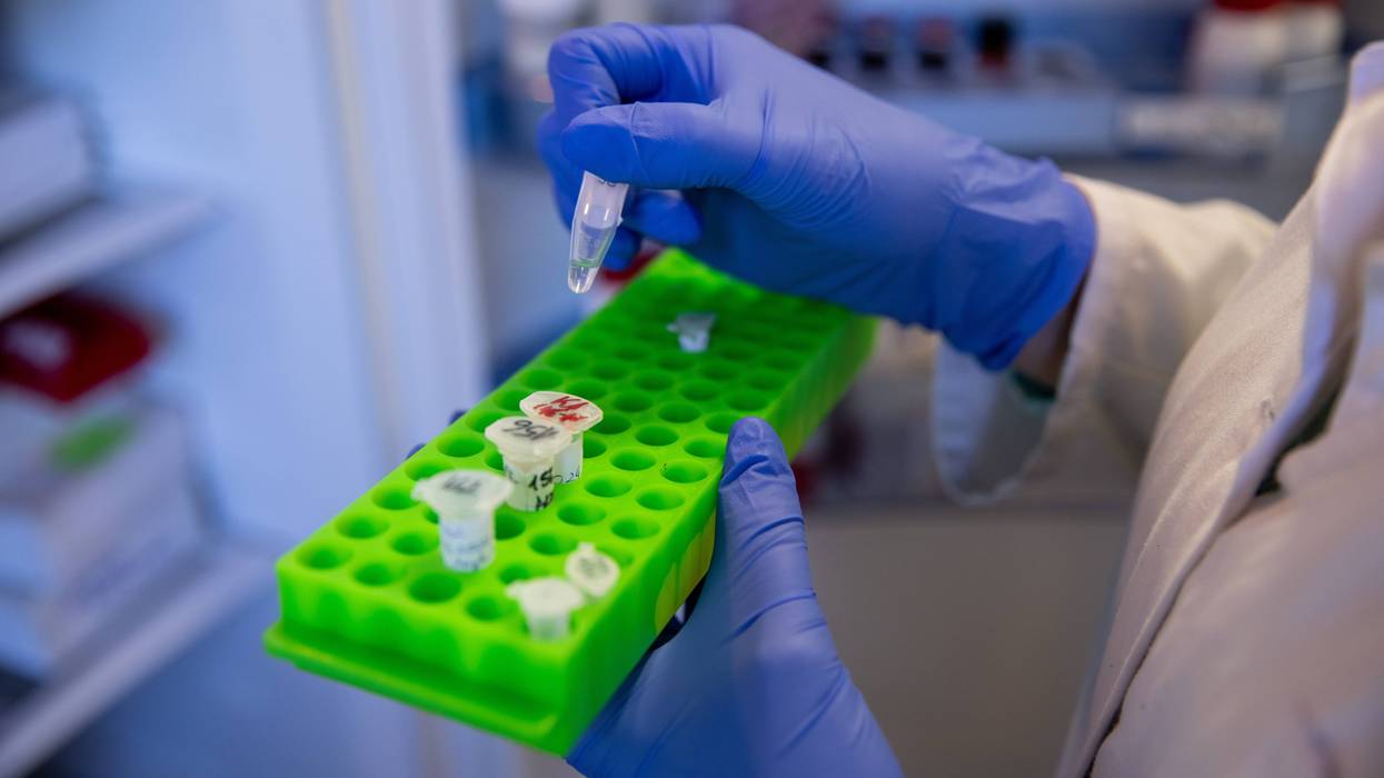 A biologist in a lab works to create COVID-19 vaccines.