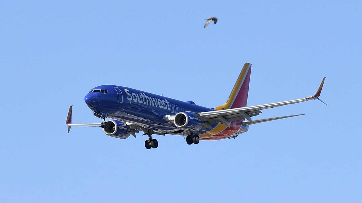 A bird flies by in the foreground as a Southwest Airlines jet comes in for a landing at McCarran International Airport on May 25, 2020 in Las Vegas, Nevada.