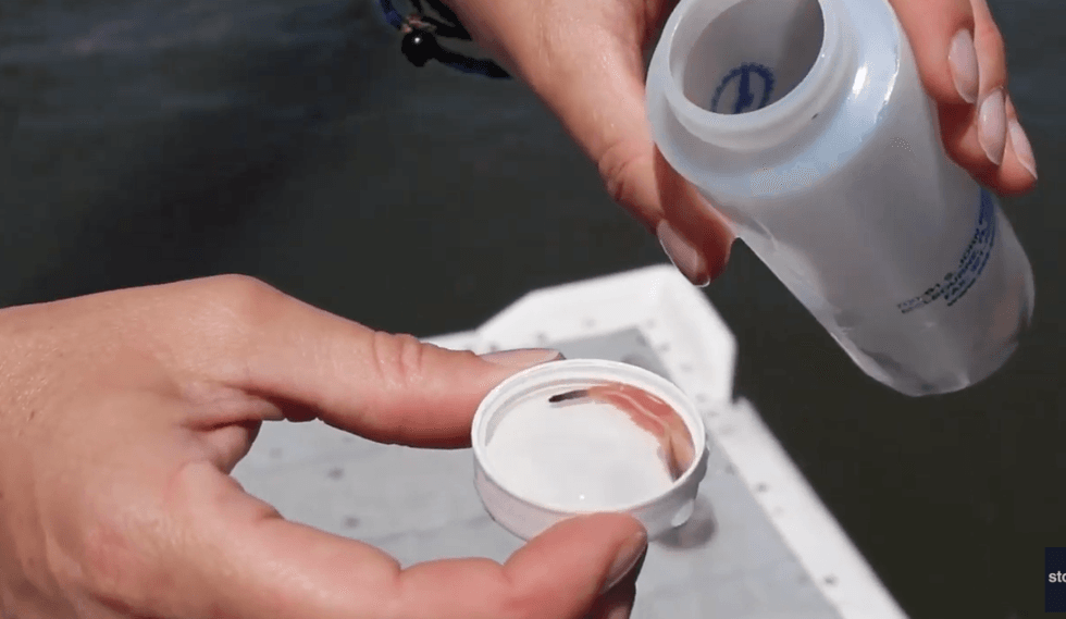 A brave official from South Carolina