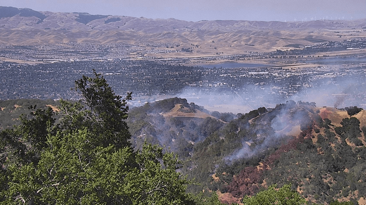 A brush fire has ignited near Pleasanton Ridge Regional Park, sending a large column of smoke into the sky.