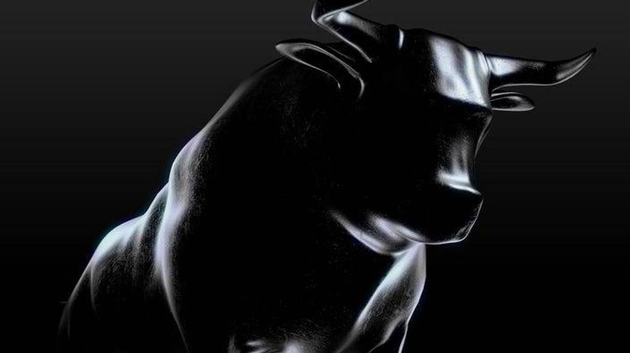 a bull in the dark in a stock image