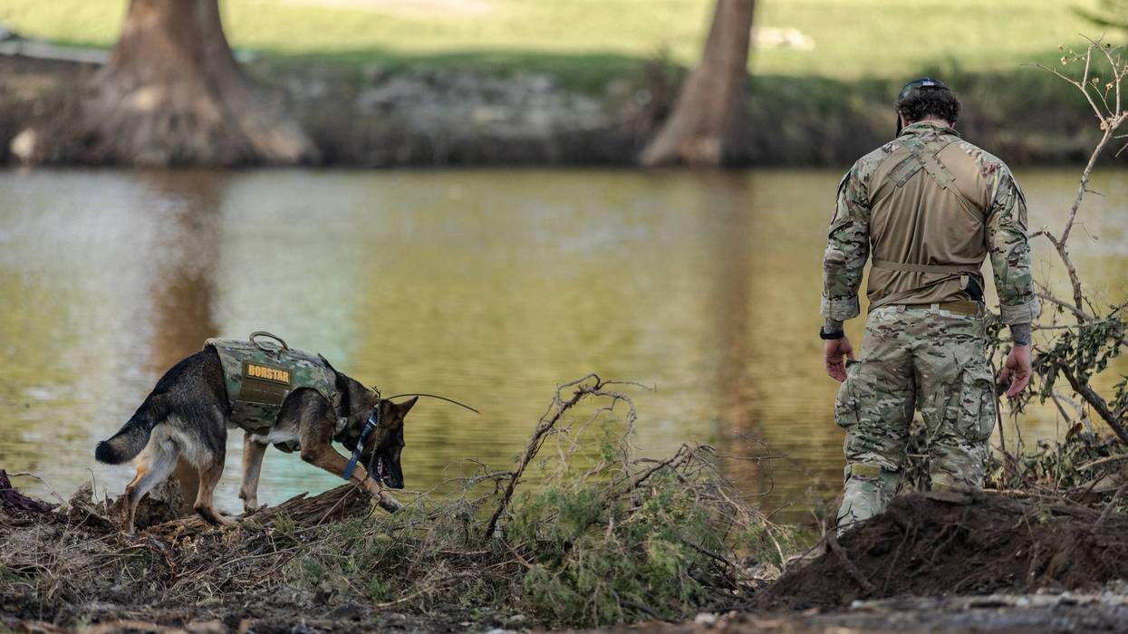 A cadaver dog aids in a search and rescue operation on the bank of the Guadalupe River on July 11, 2025, in Kerrville, Texas.