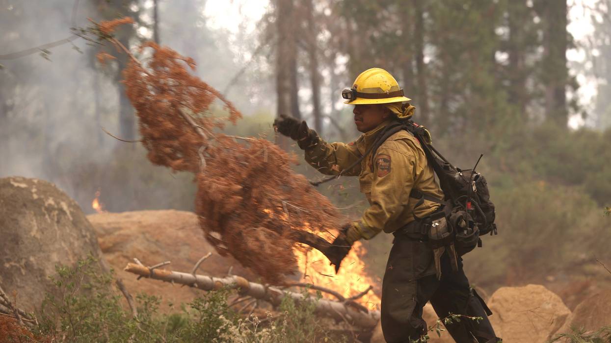 A CAL FIRE firefighter clears brush while battling the Caldor Fire on August 31, 2021 in Meyers, California.