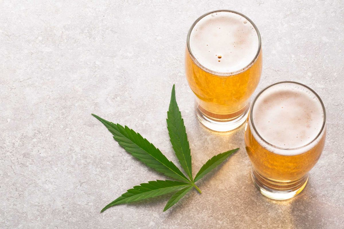 A cannabis leaf next to two glasses of beer.