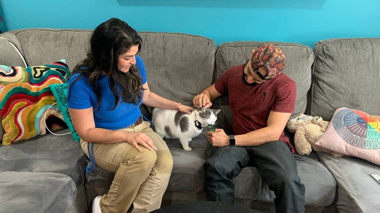 A cat stolen in South Philly is reunited with his owners.