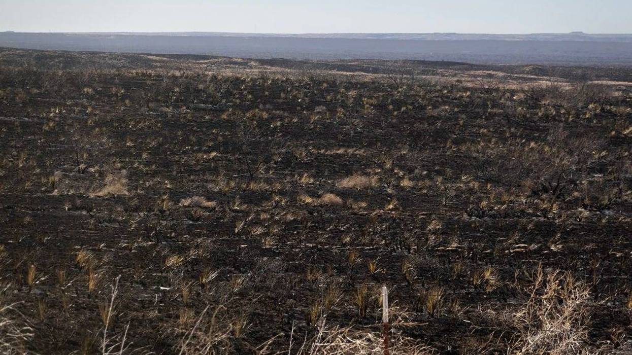 A charred landscape stretches out for thousands of acres in the aftermath of the Smokehouse Creek fire on March 02, 2024 near Fritch, Texas. The fire has burned more than a million acres in the Texas Panhandle, killing at least two people and destroying more than 500 structures.