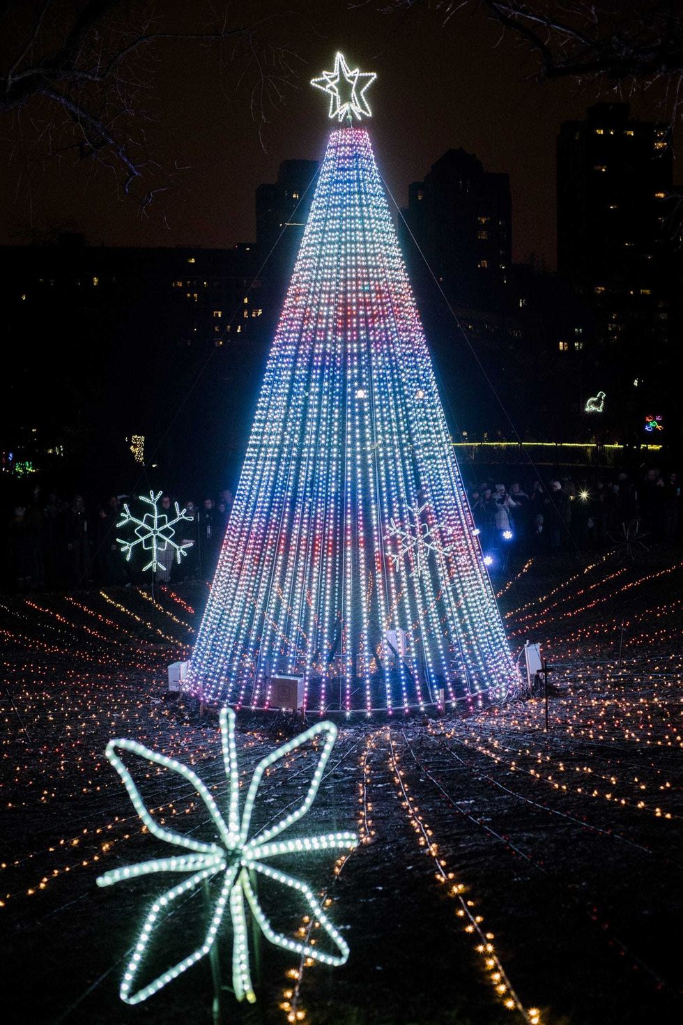 A cherished Chicago holiday tradition, Lincoln Park Zoo