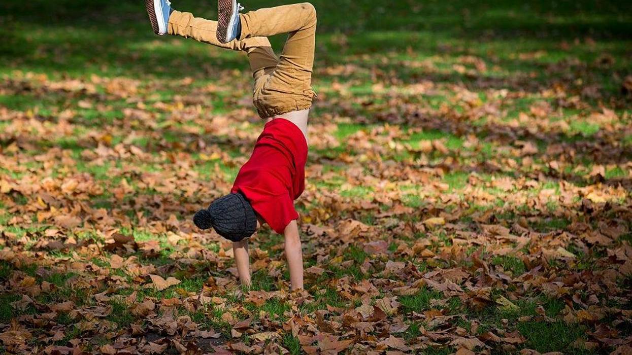 : A child plays amongst the autumn leaves in Green Park on October 31, 2014 in London, England.