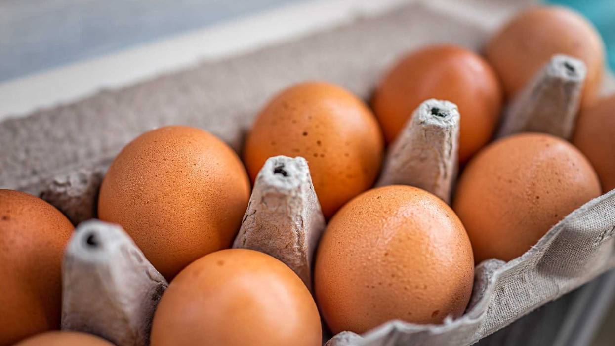 A close up of eggs in a carton.