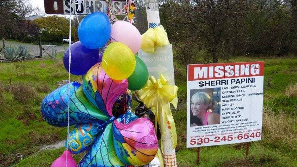 A collection of balloons are tied around Sunrise Drive in Mountain Gate near the Papini home.