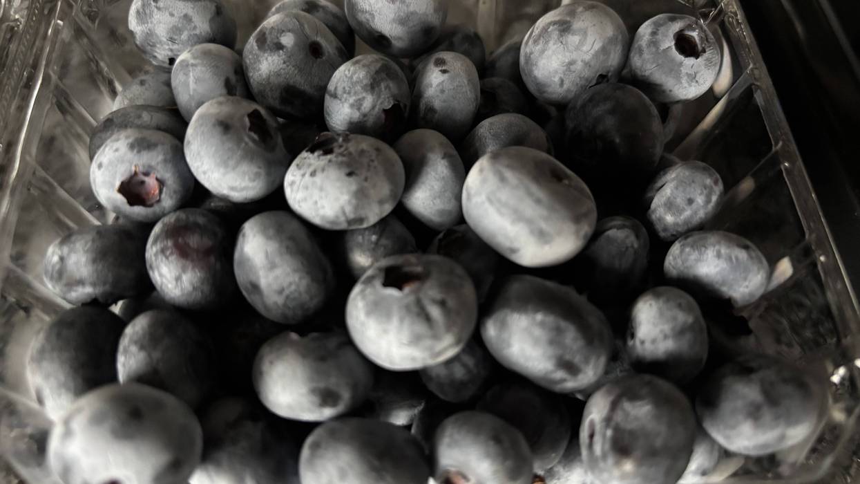 A container filled with blueberries