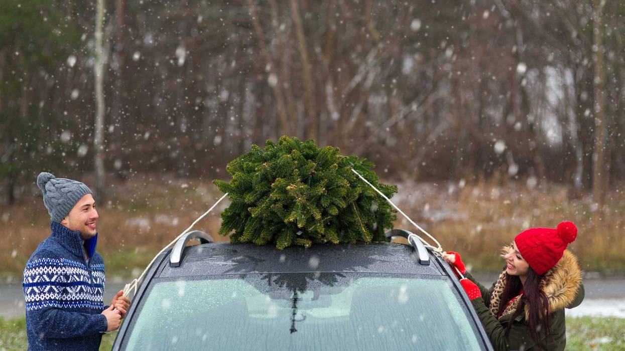 A couple attaching a Christmas tree to their car.