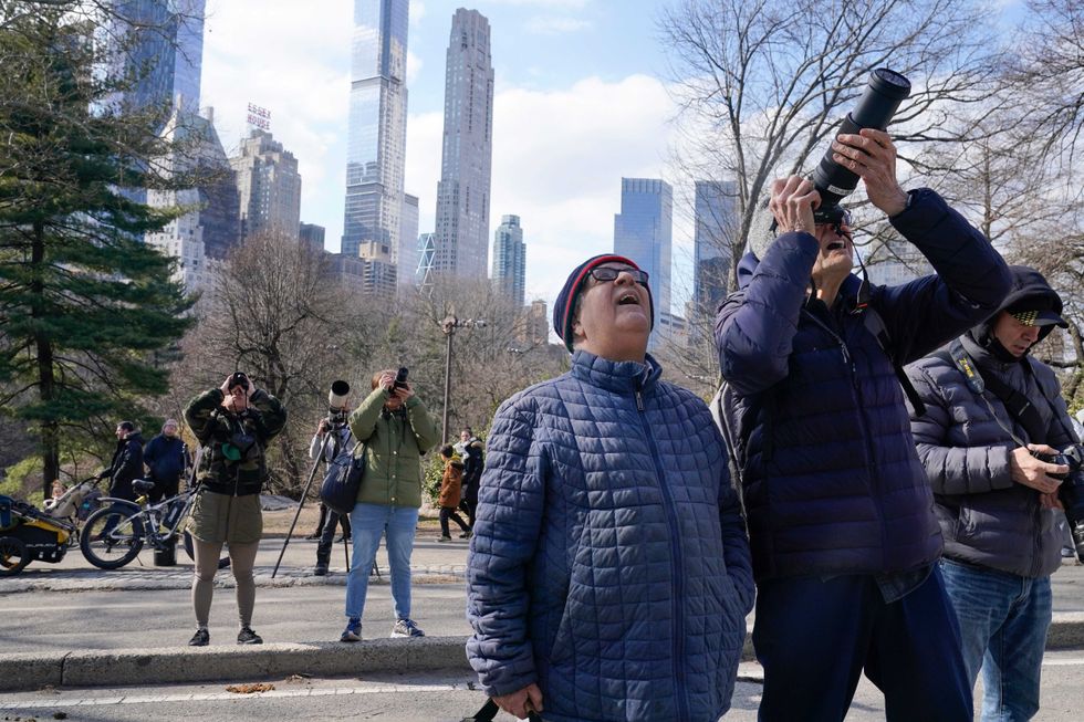 A crowd of people gather in Central Park to look at Flaco, a Eurasian eagle-owl, Monday, Feb. 6, 2023, in New York