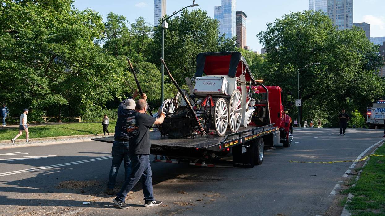 Central Park carriage horse rides paused after tourist's death