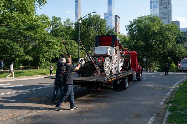 Central Park carriage horse rides paused after tourist's death