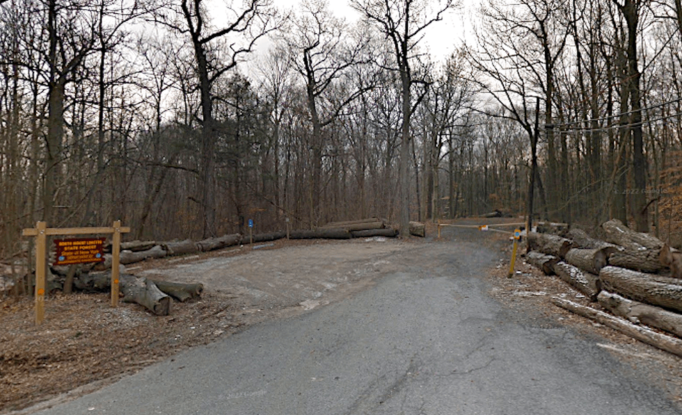 A dog alerted its owner to the hand as the two walked in a wooded area