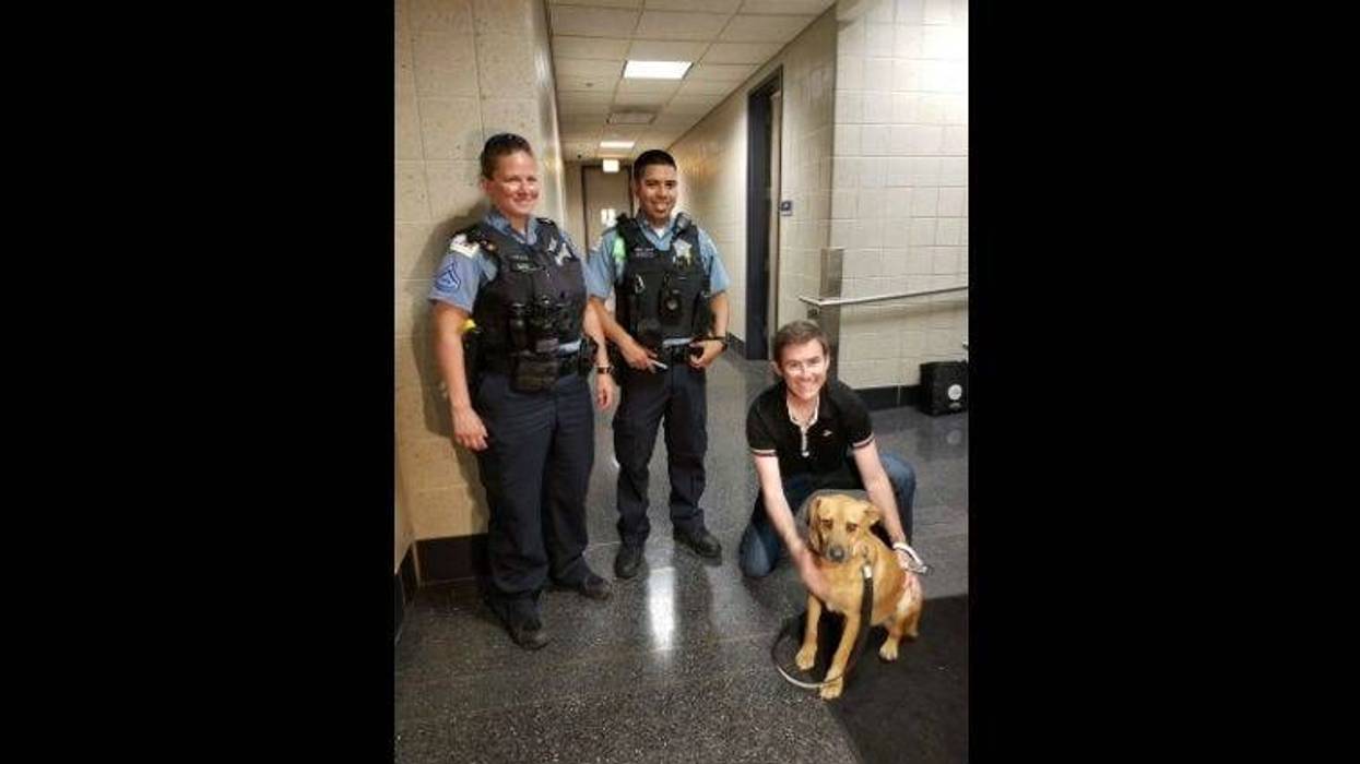 A dog was rescued by police Monday in Lake Michigan on the North Side.