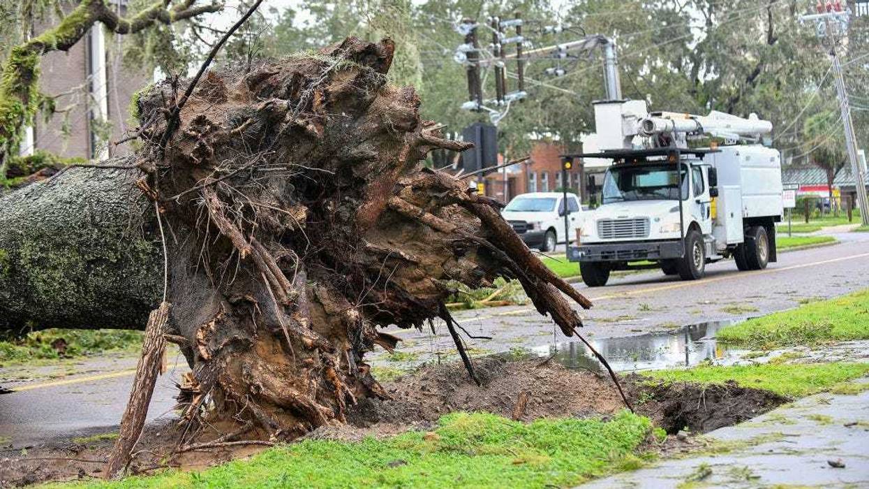 A downed tree blocking the road after being toppled by the winds and rain from Hurricane Ian o on September 29, 2022 in Bartow, Florida.