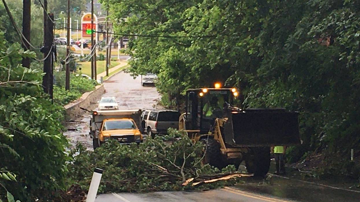 A downed tree on Limekiln Pike and Clubhouse Lane where flash flooding hit
