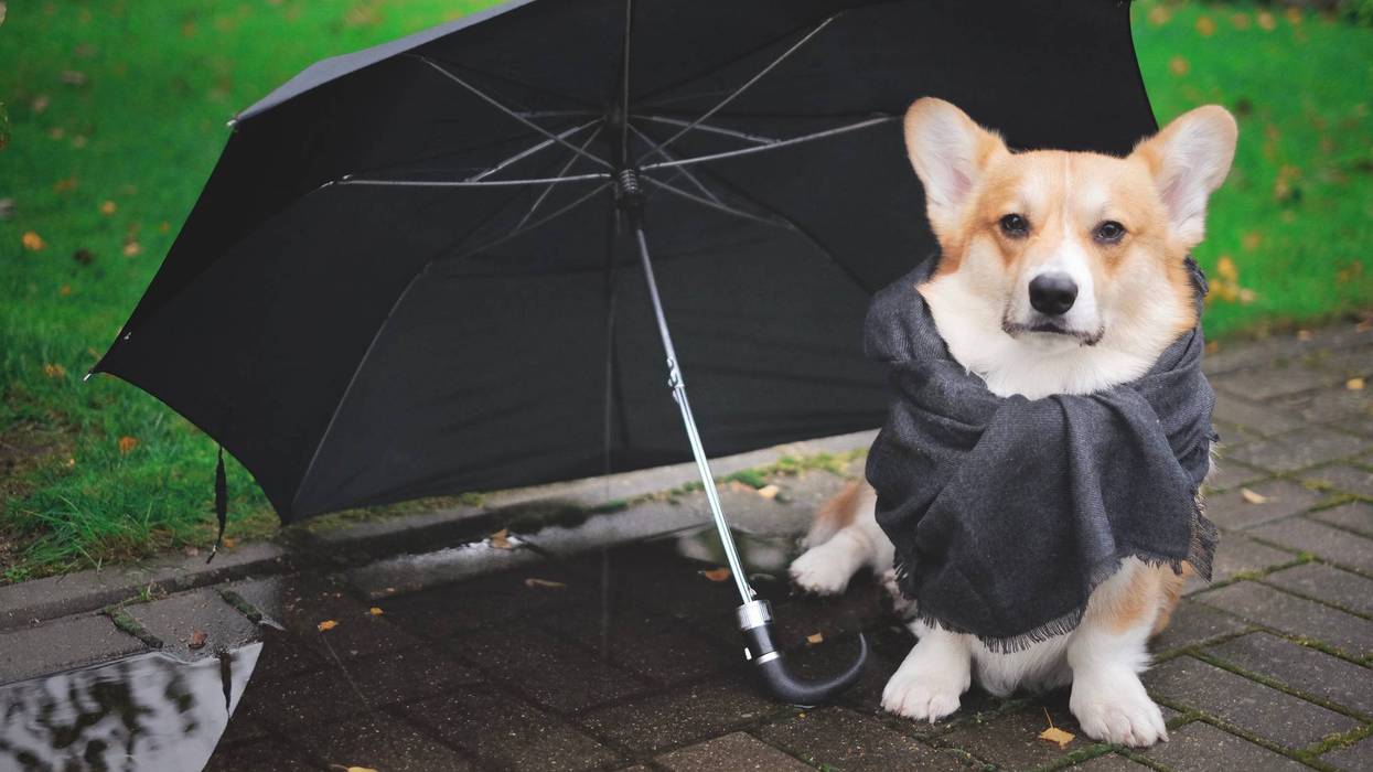 A dreary weekend, but much-needed rain in forecast