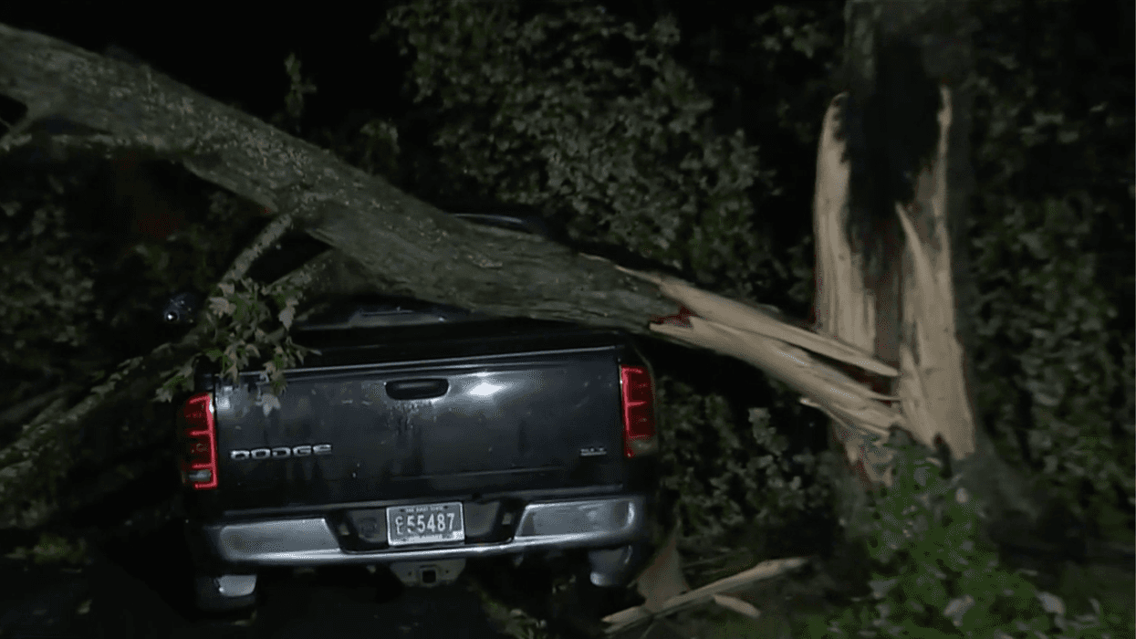 A fallen tree on top of a car in New Castle County, Delaware.