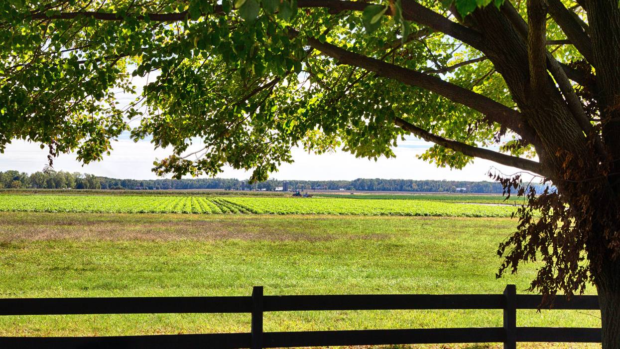 A farm in South Jersey.