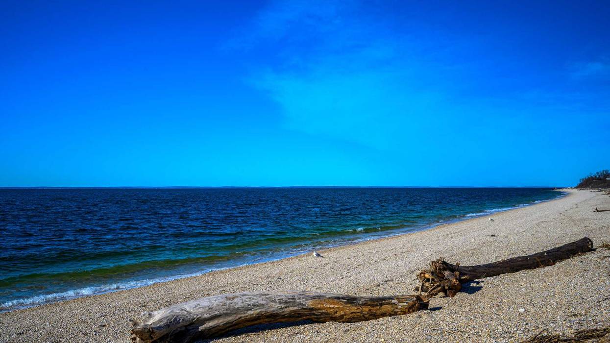 A Florida man drove into the Long Island Sound during a police chase in Greenport, police said