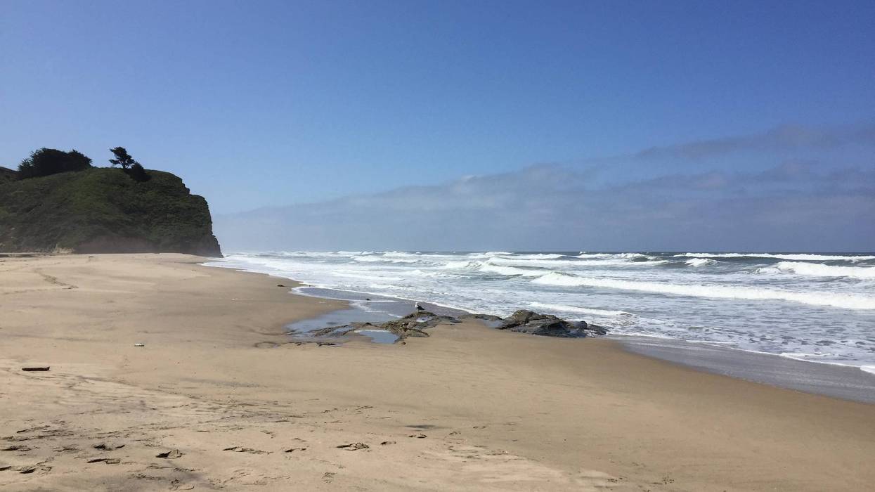 A Fourth of July visitor to Pescadero State Beach discovered a dead body wash ashore, and an investigation is underway to determine just what happened.