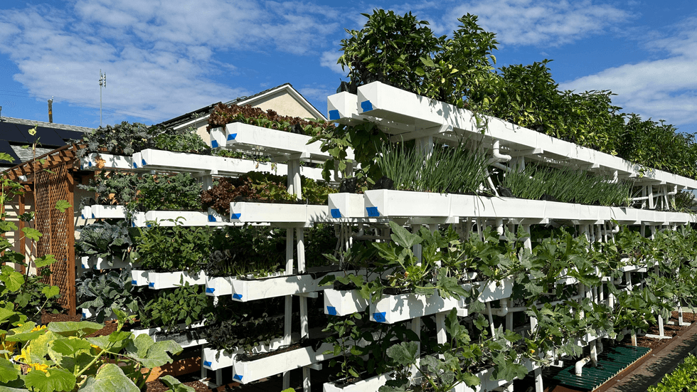 A frames - "Our A-frames maximize a small urban space to produce hundreds of lettuce varieties, peppers, herbs, and more."