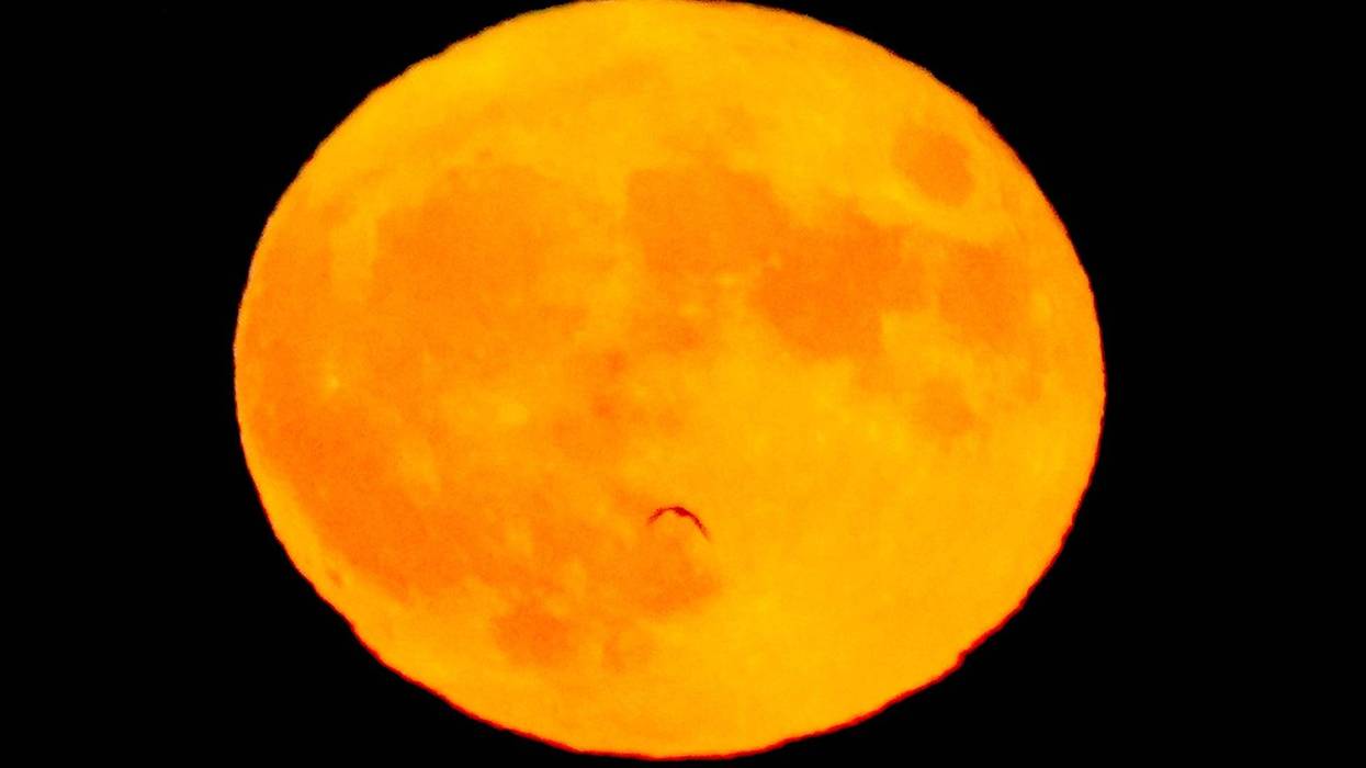 A full supermoon, called the Buck Moon, rises over Lake Michigan in Milwaukee on Wednesday, July 13, 2022. Full Supermoon 2384